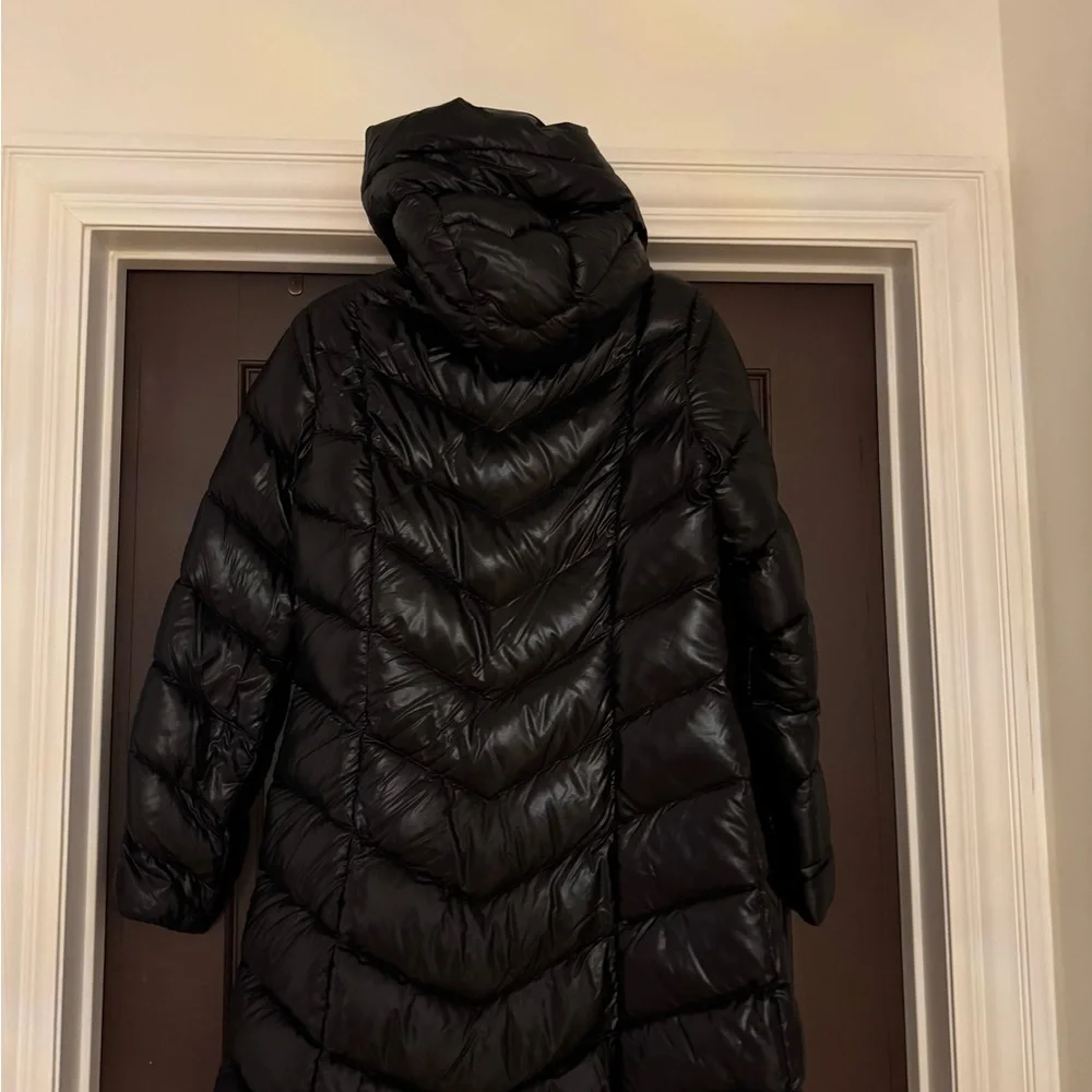 Black Jacket - Picture 11 of 14